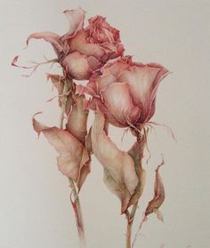 68da15187e7639e672995f41b7b9ca7b